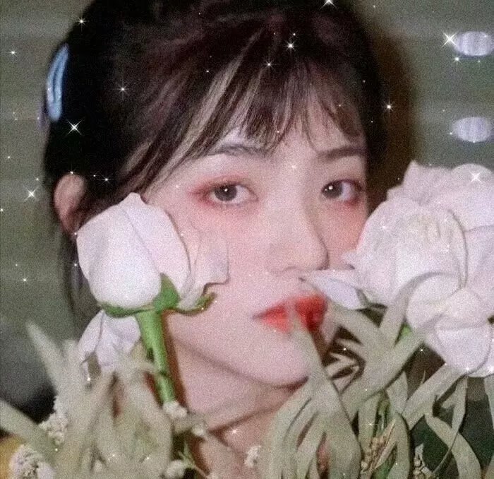 我的真爱旅程
